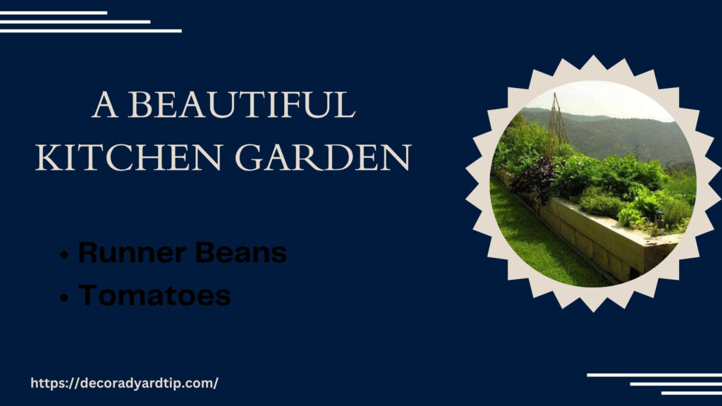 A Beautiful Kitchen Garden