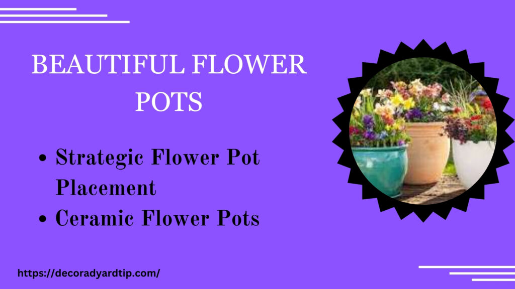 Beautiful Flower Pots