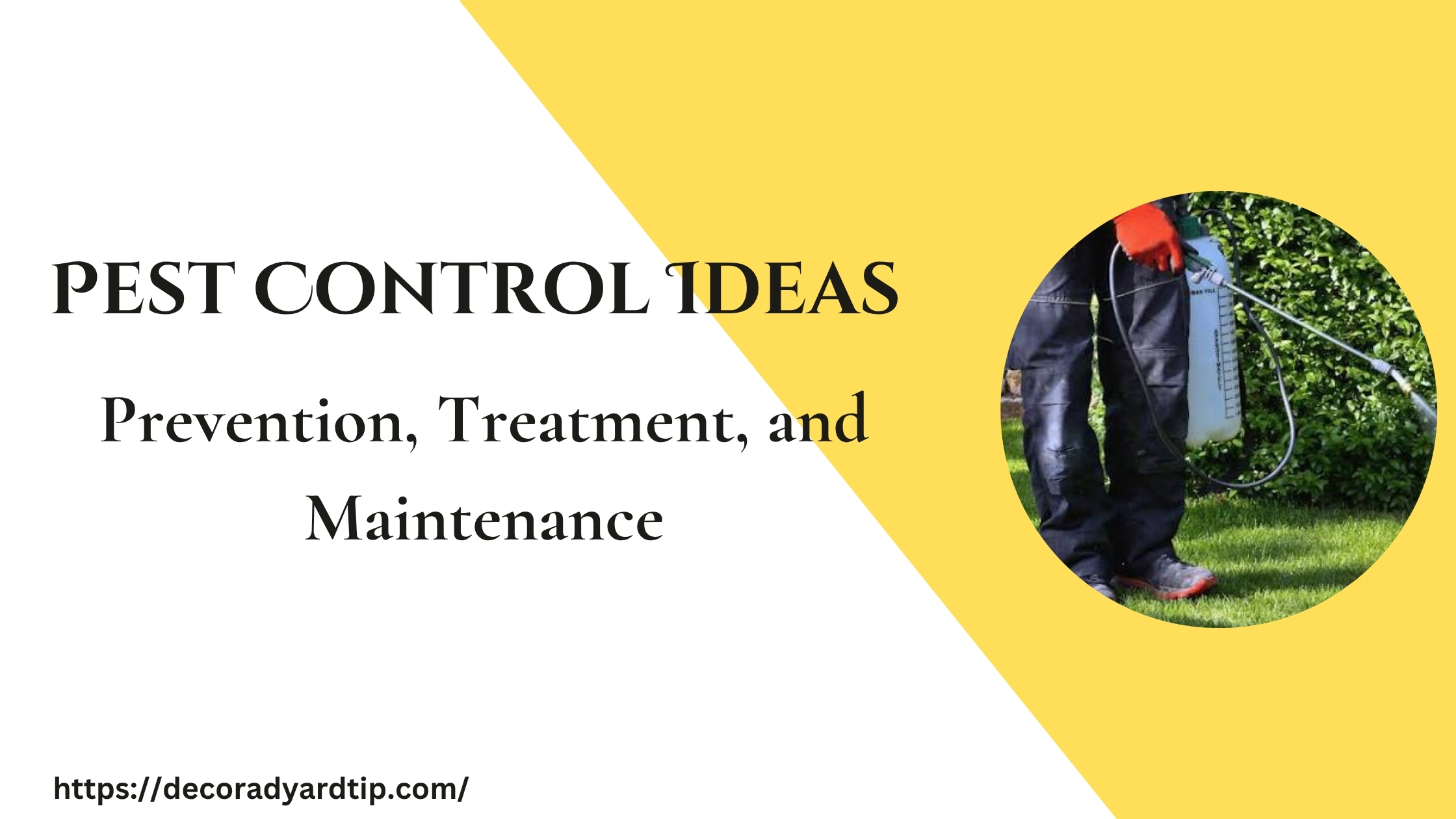 Pest Control Ideas: Prevention, Treatment, and Maintenance